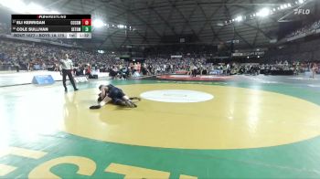 Boys 1A 175 lbs Champ. Round 1 - Eli Kerrigan, Cascade Christian vs Cole Sullivan, Seton Catholic