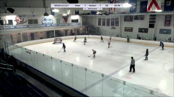 Replay: Home - 2023 Hawks U12 vs NY Islanders 12U (G) | Nov 11 @ 7 AM