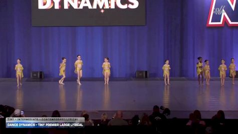 Dance Dynamics - Tiny Premier Large Lyrical [2026 Tiny - Intermediate - Contemporary/Lyrical] 2026 NDA All-Star National Championship