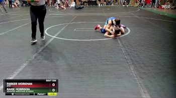 80 lbs Quarterfinal - Raige Morrison, Donahue Wrestling Academy vs Parker Workman, Btw