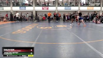 108-114 lbs Cons. Round 1 - Evalyn Idzik, P3 Warrior Wrestling Academy vs Angelina Nettey, Plainfield East