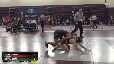 132 lbs Round 1 - Andre Sengos, Harrisburg vs Brody Lynch, Tinley Park (Andrew)