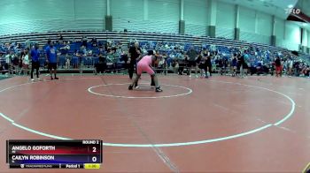 160 lbs Round 2 - Angelo Goforth, MI vs Cailyn Robinson, IL