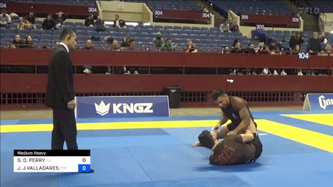 SCOTT D. PERRY vs ANGELO PAOLO CASTILLEJO SOTELO F 2024 Pan IBJJF Jiu-Jitsu No-Gi Championship