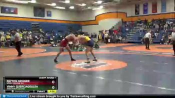 165 lbs Champ. Round 1 - Vinny Querciagrossa, Augustana College vs Payton Geigner, North Central (IL)