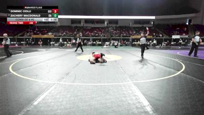 125 lbs Consi Of 8 #2 - Dominic Ciolli, Ohio State vs Zachery MacDonald, Idaho