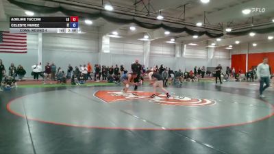 138 lbs Cons. Round 4 - Celeste Nunez, Indiana Tech vs Adeline Tuccini, Lourdes