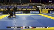 Adrian Rojas-Mallarino vs David Ade Welle 2026 Pan Jiu Jitsu IBJJF Championship