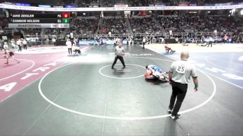 II-175 lbs Quarterfinal - Connor Wilson, Our Lady Of Lourdes vs Jake Zeigler, Portville