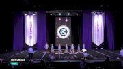Tiny Chaos [2026 Day 1 Tiny Novice] 2026 Next Level Grand Nationals