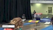 Cally Anderson - Women's Group, Northern Twistars Gymnastics - 2021 Women's Xcel Region 4 Championships