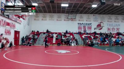 125 lbs Quarterfinal - Caydence Landers, Thunder Ridge vs Mattisin Bidiman, Homedale