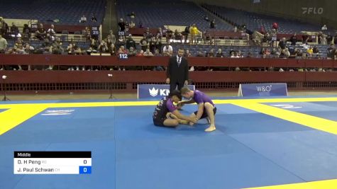 Daniel H Peng vs Jacob Paul Schwan 2024 Pan IBJJF Jiu-Jitsu No-Gi Championship