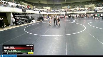 171 lbs Quarterfinal - Julius Cook, Somerset Wrestling vs Ben Peterson, LAW - Lacrosse Area Wrestlers