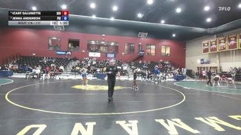 117 lbs Semifinal - Icart Galumette, Delaware State vs Jenna Anderson, Presbyterian