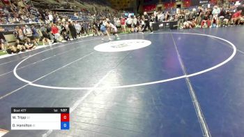 152 lbs Rnd Of 128 - William Tripp, South Carolina vs Damion Hamilton, Idaho