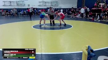 106 lbs Cons. Round 1 - Brody Bielas, Mountain View vs Logan Brockus, Centennial