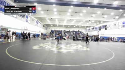 138 lbs Semifinal - Destiny Gonzalez, Colby Community College vs Dalila Preciado, Cerritos College