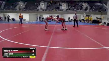 105 lbs Finals (8 Team) - Alex Ogle, HLWW vs Mason Moscho, Rocori