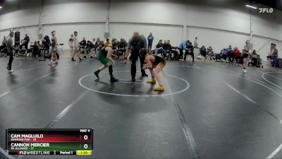 84 lbs Finals (2 Team) - Cannon Mercier, PA Alliance vs Cam Magluilo, Diamond Fish