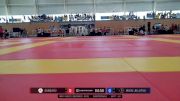 Lucas Krisiuk vs Daniel Linares 2025 ADCC South American Championship