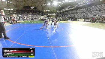 1A 165 lbs Semifinal - Liam Bogle, Deer Park vs Chase Bradrick, Vashon Island