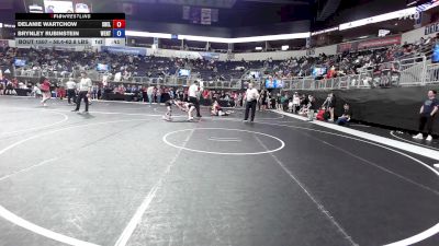 58.4-62.8 lbs Rr Rnd 4 - Delanie Wartchow, Shelton Wrestling Academy vs Brynley Rubinstein, Wentzville Wrestling Federation