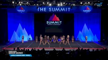 Power Cheer! - Senior Savag3 [2025 L3 Senior Coed - Small Semis] 2025 The D2 Summit