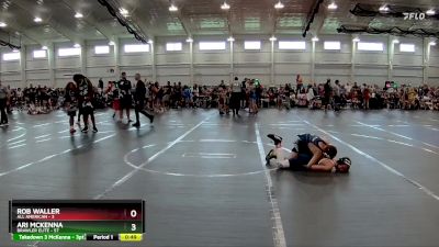 84 lbs Finals (2 Team) - Rob Waller, All American vs Ari McKenna, Brawler Elite