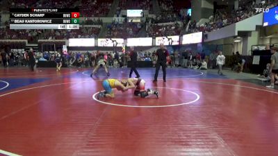 90 lbs Quarterfinal - Cayden Scharf, Dickinson Wrestling Club vs Beau Kantorowicz, CJI Hawks