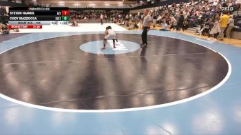 133 lbs Quarterfinal - Andrew Perez, Ursinus vs Vincent Ziccardi, Washington And Lee