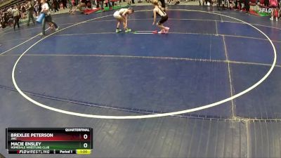 50 lbs Quarterfinal - Brexlee Peterson, JWC vs Macie Ensley, Homedale Wrestling Club