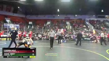 102 lbs Round 1 (4 Team) - Bodie Abbey, Hartland vs Camden Holt, Belding Black Knights