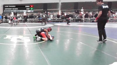 81 lbs Rr Rnd 2 - Liam Tavarez, RedNose Wrestling School - ESC vs Anthony Scurti, Washington Twp - ESC
