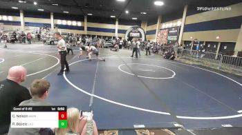175 lbs Consi Of 8 #2 - Cole Nelson, Warrior WC vs Petar Bojicic, La Costa Canyon HS