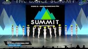 Studio 22 - Youth All Stars Small Pom [2025 Youth - Pom - Small Finals] 2025 The Dance Summit