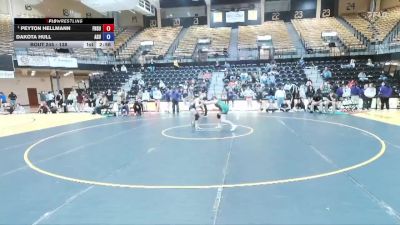 138 lbs Semifinal - Peyton Hellmann, Fort Hays State vs Dakota Hull, Adams State