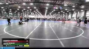 76 lbs Round 2 (6 Team) - Dominick Morrison, PA Gold vs Xaiver Seabury, Minion White