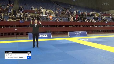 Chui Yi Liu vs Carolina Vianna De Sá Vallejo 2024 Pan IBJJF Jiu-Jitsu No-Gi Championship