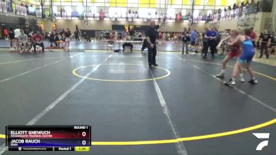 100 lbs Round 1 - Elliott Gnewuch, McDominate Training Center vs Jacob Rauch, Iowa