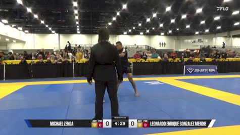 Leonardo Enrique Gonzalez Mendie vs Michael Zenga 2025 World IBJJF Jiu-Jitsu No-Gi Championship