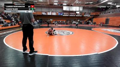 113 lbs Round 3 - Camden Worthington, Declo vs Damon Tilger, Spring Creek