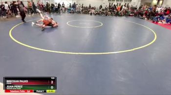 120 lbs Cons. Round 1 - Breckan Palko, Mead vs Juan Perez, Woodland Park