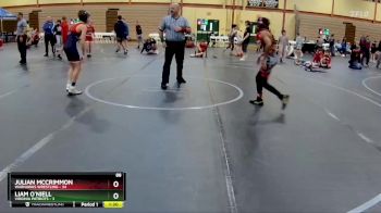 88 lbs Round 1 (10 Team) - Julian McCrimmon, Warhawks Wrestling vs Liam O`Niell, Virginia Patriots