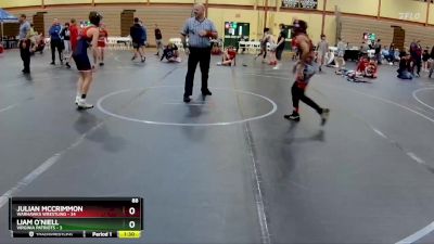 88 lbs Round 1 (10 Team) - Julian McCrimmon, Warhawks Wrestling vs Liam O`Niell, Virginia Patriots