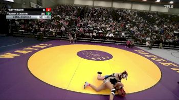 5A 125 lbs Cons. Round 2 - Emma Stanton, Salem Hills vs Lily Wilson, Wasatch