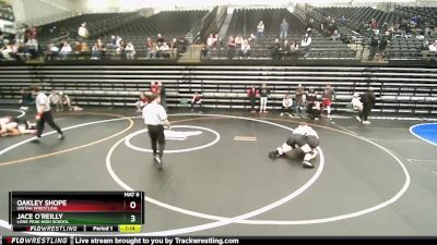 178 lbs Quarterfinal - Oakley Shope, Uintah Wrestling vs Jace O`Reilly, Lone Peak High School