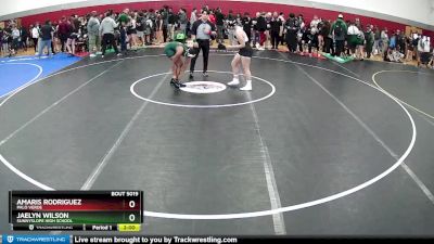 133-136 lbs Semifinal - Jaelyn Wilson, Sunnyslope High School vs Amaris Rodriguez, Palo Verde