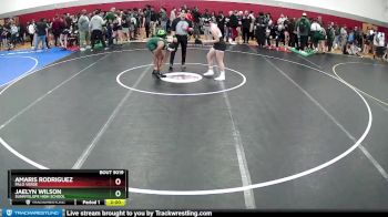 133-136 lbs Semifinal - Jaelyn Wilson, Sunnyslope High School vs Amaris Rodriguez, Palo Verde