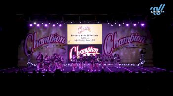 Encore Elite Wildcatz - Ruthless [2024 L4.2 Senior Coed - D2 Day 2] 2024 Champion Cheer and Dance Grand Nationals